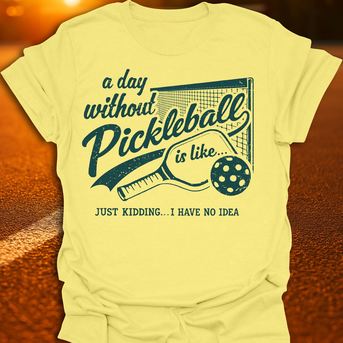 A Day Without Pickleball T-Shirt