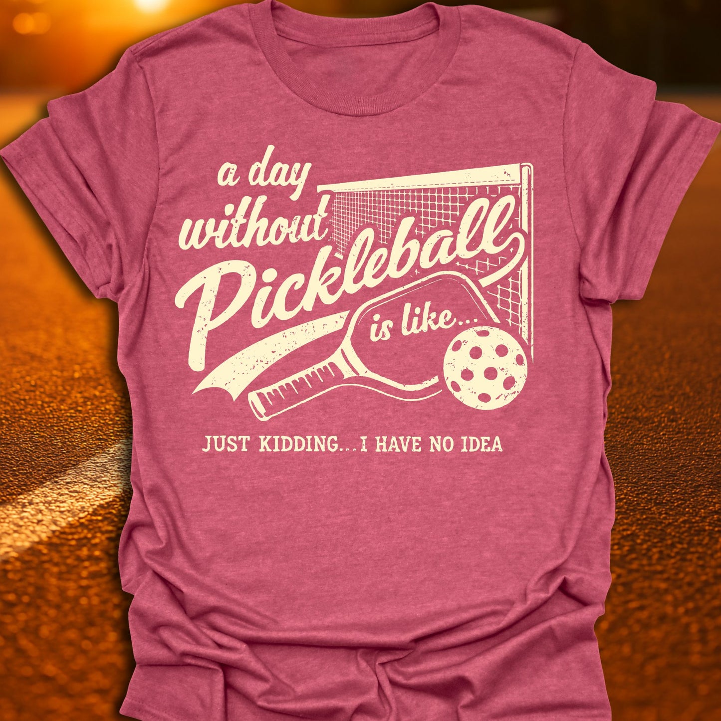 A Day Without Pickleball T-Shirt