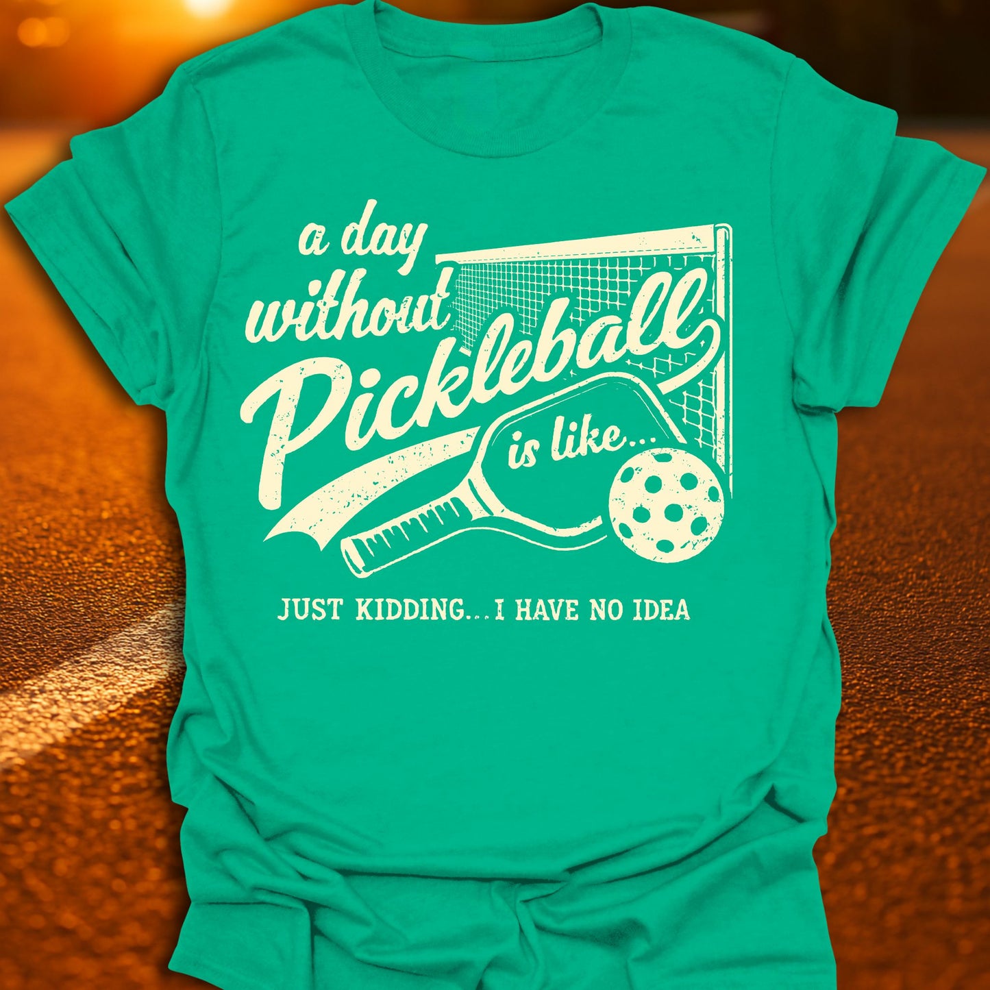 A Day Without Pickleball T-Shirt