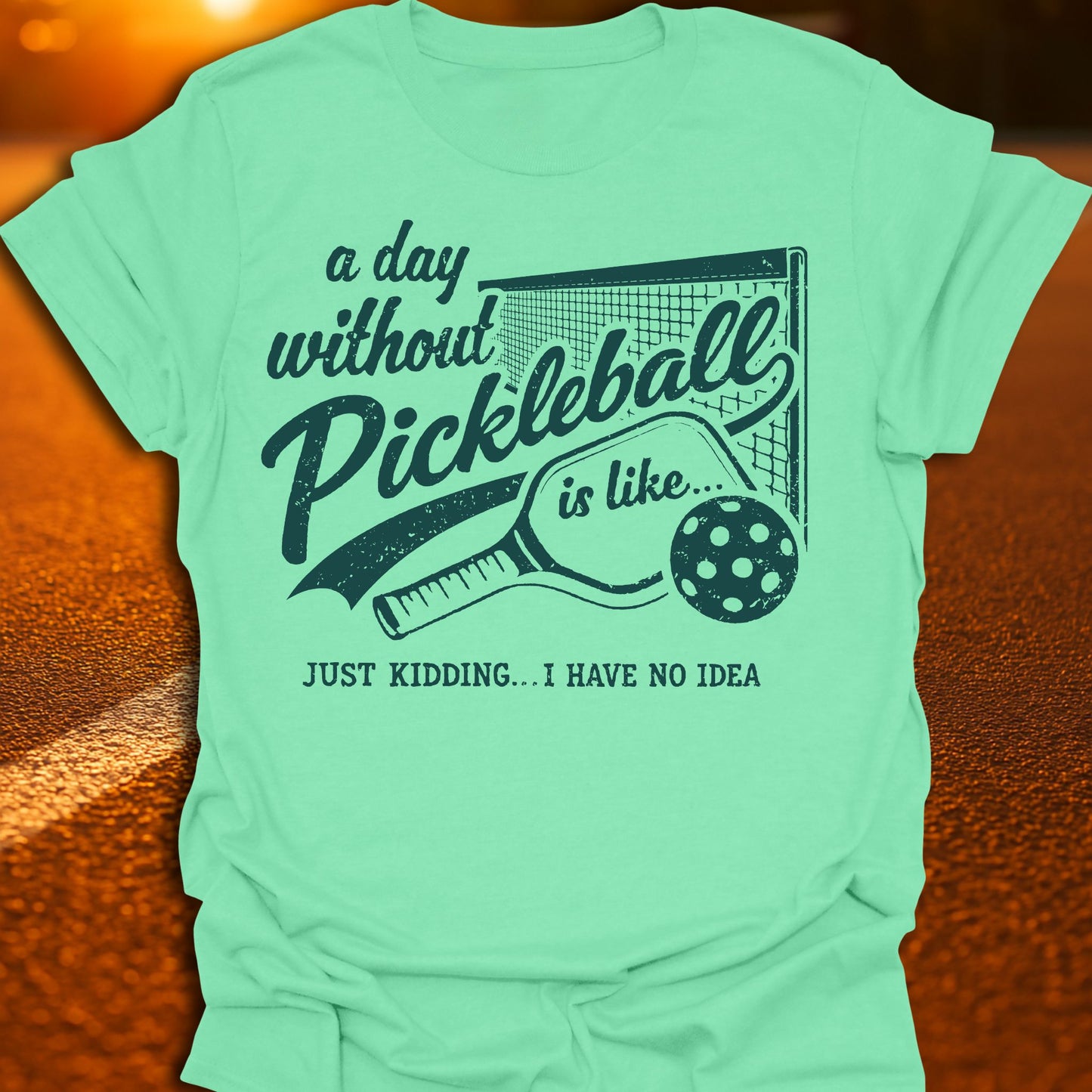 A Day Without Pickleball T-Shirt