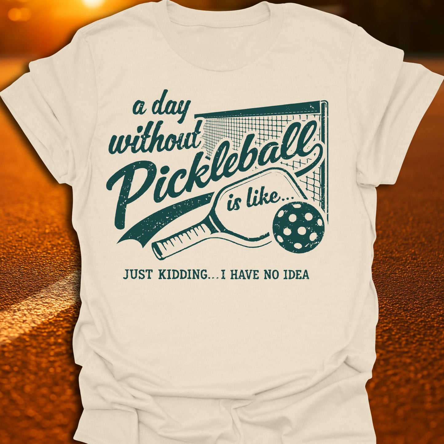 A Day Without Pickleball T-Shirt